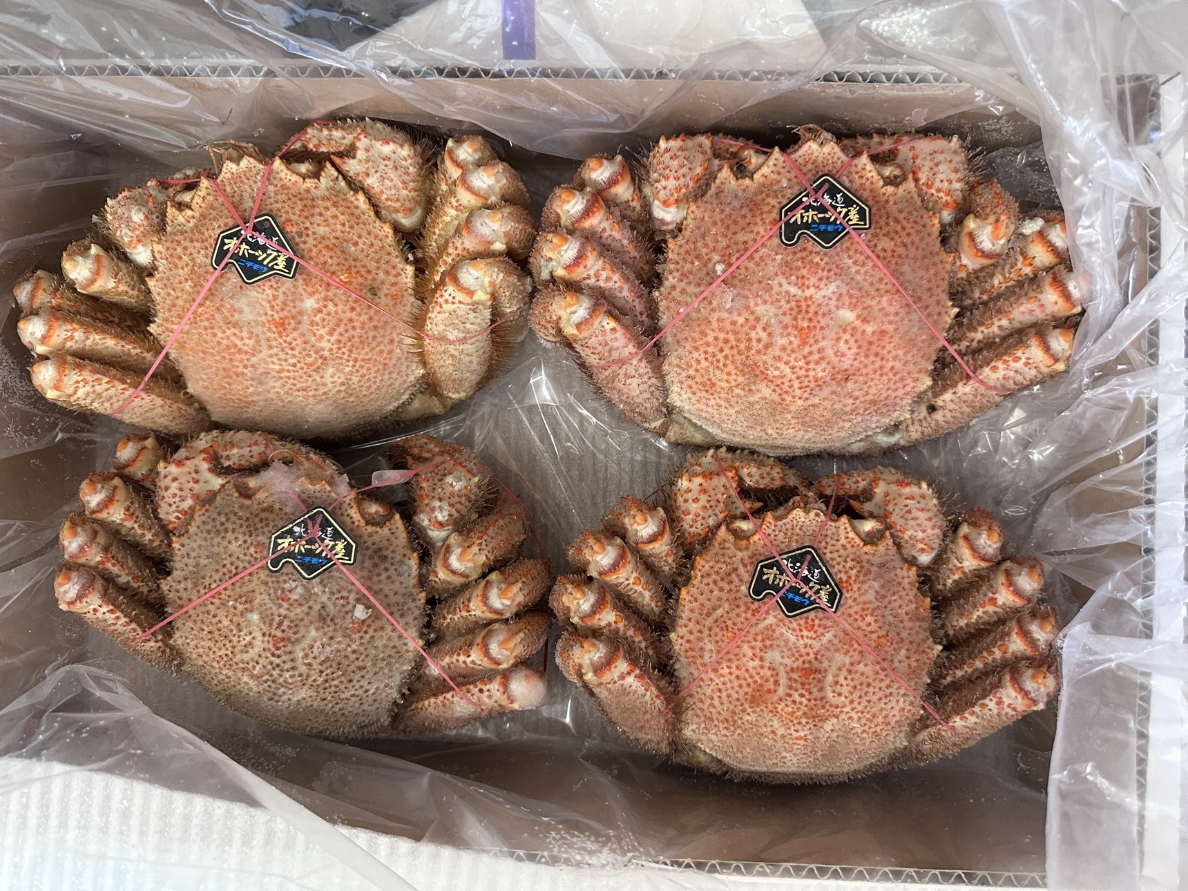 原箱中的北海道毛蟹